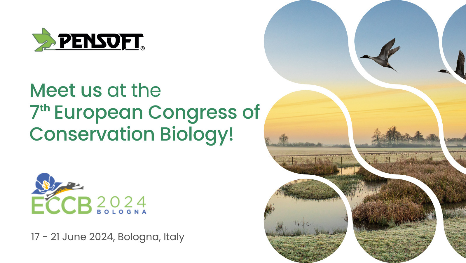 Say “Hi!” at the 7th European ...