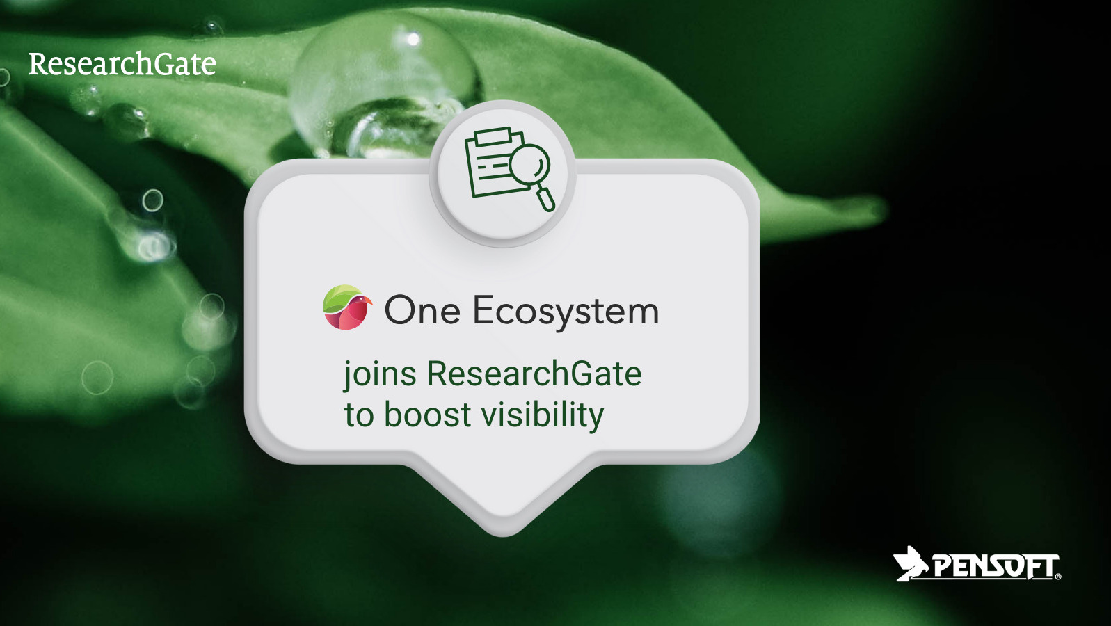 One Ecosystem with a dedicated profile ...